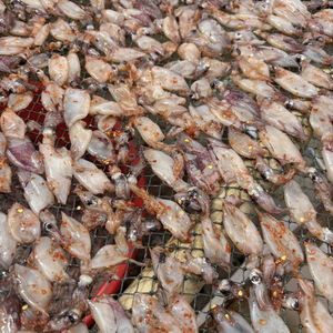 ปลาหมึกแห้งเวียดนาม ทำจากปลาหมึกทั้งตัว เหมาะสำหรับการย่างบาร์บีคิว และตอบโจทย์ความต้องการขายส่ง - Product Image 1