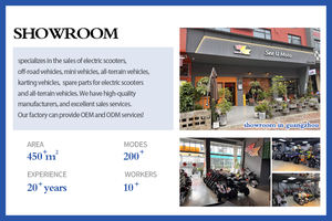 Nueva Motocicleta Infantil de Cross con Motor de 4 Tiempos, Refrigeración por Aire, Horquilla Trasera Hidráulica No Ajustable, <span class=keywords><strong>50</strong></span> <span class=keywords><strong>cc</strong></span> - Product Image 6