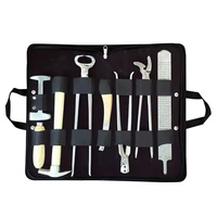 Kit de Herramientas Premium para Herradores de Caballos, para el Cuidado de Pezuñas Equinas, Reutilizable, Resistente, Juego de Equipo Profesional para Herradores