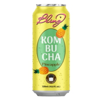 Tren Terbaru OEM ODM Label Pribadi 250ml/330ml Jus Buah Rasa Alami Mangga Kombucha Jeruk Vanila Puree Kaleng (Dalam Kemasan Kaleng)