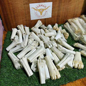 Hueso de Pata de Búfalo Blanco Natural de Primera Calidad, en Forma de Media Caña, para Artesanías Vikingas y Tradicionales, al Mejor Precio - Product Image 4