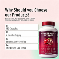 Capsules d'extrait de grenade Lanoric en marque privée OEM 500 mg, complément alimentaire, capsules de grenade pour adultes