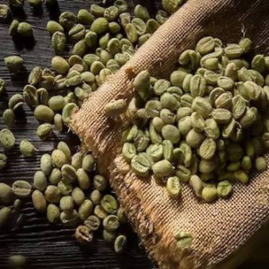 Wholesale Natural Unroasted Colored Vietnam <b>Robusta</b> Green <b>Coffee</b> <b>Beans</b> Bulk OEM/ODM Export Supply 12% Moisture Export Grade - Product Image 6