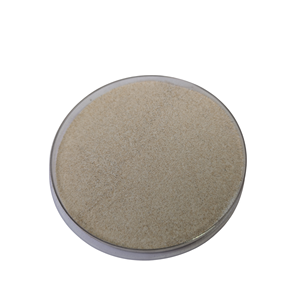 Poudre de jus de longane séchée par atomisation, qualité alimentaire, emballée sous vide pour applications alimentaires et boissons, boisson instantanée - Product Image 1