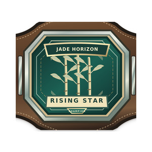 Custom Jade Horizon Rising Star Championship <b>Belt</b> Unisex Straight Form <b>Wrestling</b> Boxing MMA Metal Plates Personalized Logo OEM - Product Image 5