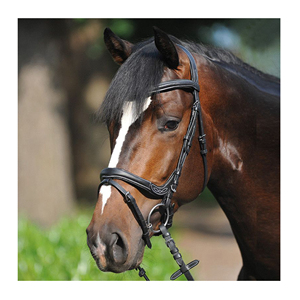 Wholesale Horse Riding Anatomically Shaped Premium Horse Bridle Headstall Contrast Stitching Equine Products Horse Halter Bridle - Product Image 1