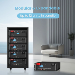 Batterie Lithium-ion LiFePO4 Litharv montée sur rack 51,2 V 200 Ah 10,24 kWh pour système de stockage d'énergie résidentiel - Product Image 5