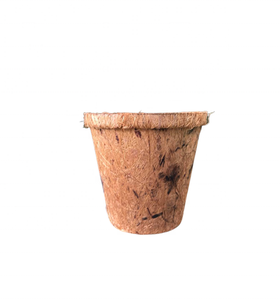 Maceta de coco respetuosa con el medio ambiente hecha de fibra de coco para uso comercial en jardinería de Vietnam - Product Image 5
