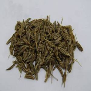 Graines de Jeera entières indiennes pour les acheteurs internationaux en quête d'ingrédients aromatiques, prix de gros et approvisionnement fiable - Product Image 2