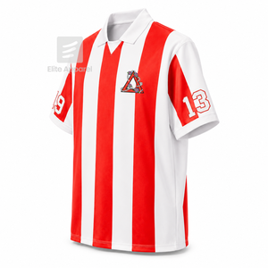 Camiseta de fútbol personalizada de la hermandad Delta Sigma Theta, de manga corta, con logo, en azul y blanco, a rayas, de poliéster, para mujer. - Product Image 2