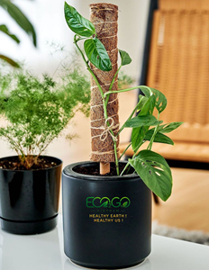 Poteau en fibre de coco naturelle pour plantes grimpantes, support flexible et pliable avec noyau métallique pour Monstera, Philodendron, Pothos - Product Image 3