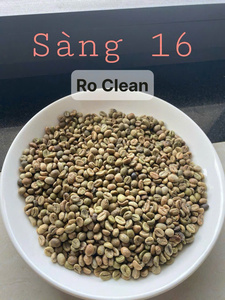 กาแฟอาราบิก้าเวียดนามแท้พันธุ์เดียว |   คั่วอ่อนและคั่วกลาง |   เมล็ดกาแฟพิเศษขายส่ง - Product Image 2