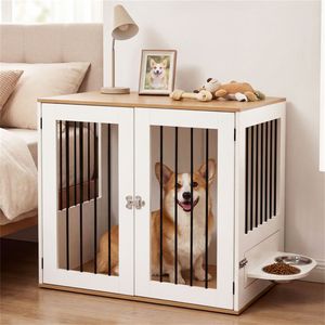 Ciotola Girevole a 360° per Cani con Ciotole in Acciaio Inox 304 e Design a Doppio Blocco - per Animali Domestici da Interno - Product Image 2