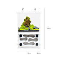 Fourmilière en bois pour fourmis Ant Paradise Pro Forest Wood, petite, avec acrylique et Ytong, 10x10x16cm, toutes saisons, personnalisable, ODM, OEM