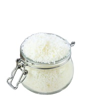 批发优质甜干椰子粉，采用AD工艺，来自越南 +84 86 521 6698