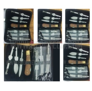 Juego de Cuchillos para Herrador Blunt Edge Surgical Technology, 7 Piezas, con Estuche con Cierre, Hojas de Acero Inoxidable, Modelo Best-900 - Product Image 2