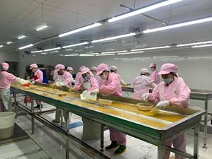 Graines de fruits de la passion congelées biologiques IQF de haute qualité 10kg Cartons en vrac jus de conservation de l'eau pour les industries de la restauration - Product Image 6