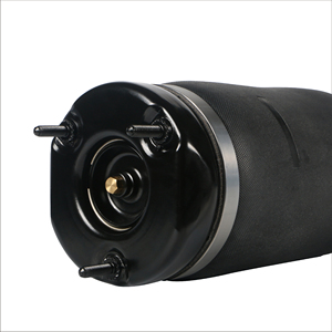 Amortisseur pneumatique 1643206113 1643204513 pour Mercedes Benz ML W164 GL X164 AIRMATIC Suspension pneumatique avant sans ADS - Product Image 6