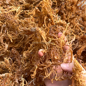 Eucheuma Cottonii Seca de Vietnam, Materia Prima de Carragenano de Grado Alimenticio, 24 Meses de Vida Útil |   Kim Minh International - Product Image 1