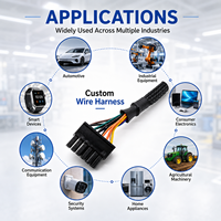Harness Kabel Kustom 8-Pin MX3.0 Microfit 4.2mm Pitch dengan Konduktor Tembaga Berlapis Timah, Isolasi PVC, Rating IP20 untuk Otomotif