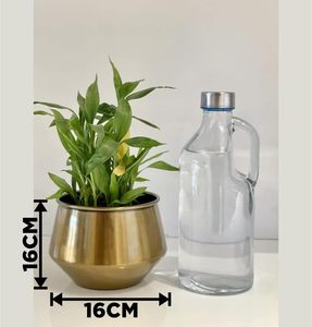 Maceta Metálica con Soporte para Plantas, para Sala de Estar, Balcón, Jardín, Interior y Exterior, Contenedor Decorativo para Plantas, Moderno y Elevado - Product Image 5