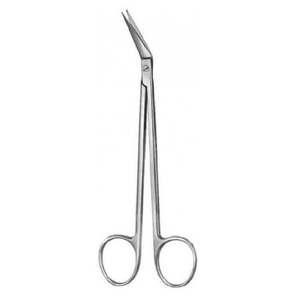 Ciseaux à gencives en acier inoxydable de haute qualité, instruments dentaires d'origine, instruments chirurgicaux droits - Product Image 4