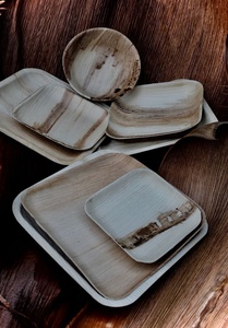 Assiettes jetables carrées en feuille de palmier Areca de 6 pouces, écologiques, biodégradables, vaisselle naturelle pour les fêtes, les restaurants et les hôtels - Product Image 1