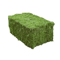Foin d'alfalfa de qualité / granulés d'alfalfa / cubes d'alfalfa déshydratés / foin de timothée