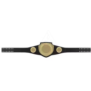 Ceinture de championnat professionnelle sur mesure, ceinture de championnat très vendue, nouvelle arrivée de ceinture de championnat - Product Image 3
