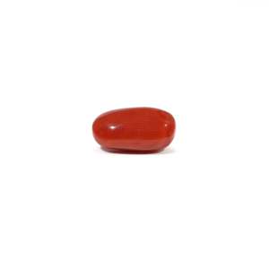 Natural Red Coral Oval Cabochon Loose Gemstone 3.81 Carat Certified Wholesale - Product Image 3