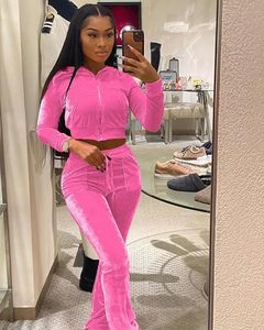<b>Women</b> <b>Velvet</b> <b>Tracksuit</b> Two Piece Set Zip Up Hoodie Crop Top and Long Pants Casual Sportswear Activewear Wholesale - Product Image 6