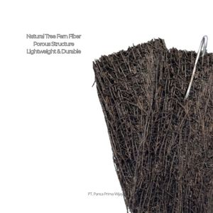 Placa de Placa de Araña Natural de Alta Calidad 15x8cm para Montaje de Orquídeas, Medio de Cultivo para Plantas Epífitas - Product Image 4