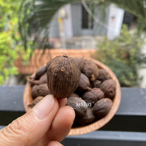 เมล็ดกระวานสีดำ9มม. กลิ่นหอมแบบเข้มข้นเครื่องเทศเดียวน้ำมันจากการทำอาหาร - Product Image 5