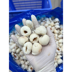 Litchis surgelés de qualité supérieure, IQF, sans sucre ajouté, fruits tropicaux, emballage sous vide, vente en gros directe d'usine, exportation - Product Image 4