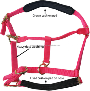 Customized Nylon Horse Head Collar <b>Halters</b> with PP Lead <b>Rope</b> All Sizes Available Option - Product Image 1