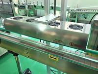 Ligne de remplissage automatique de pots pour noix, cacahuètes, haricots noirs, bonbons, poudre, céréales, millet, dattes rouges – Machine d'emballage en pots