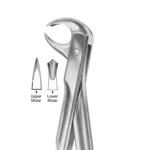 Pinces d'extraction Vitra Instruments avec poignée adaptée, instrument dentaire modèle 1204 |   Acier inoxydable de qualité supérieure - Product Image 3