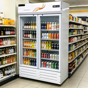 Réfrigérateur vertical à double porte de haute qualité pour la présentation de bières, réfrigérateur à boissons pour supermarché - Vente flash - Product Image 6