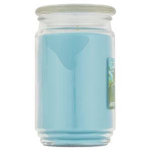 Grand pot en verre à mèche unique, bougie parfumée de pluie de jardin de 20 oz - Product Image 4