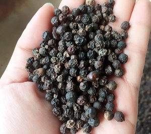Poivre noir de qualité supérieure, piment de la Jamaïque, origine Vietnam, épice séchée brute AD, 50 kg, certifié HACCP, Phalco JSC - Product Image 1
