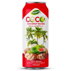 Fabricante superventas 500ml bebidas deportivas agua de coco natural puré de fresa sabor sandía jugo de frutas y verduras - Product Image 3