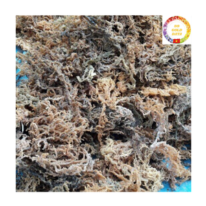 Musgo Marino Orgánico |   Eucheuma Cottonii Seca |   Algas Silvestres |   Precio de Fábrica para Proveedores al por Mayor - Product Image 1