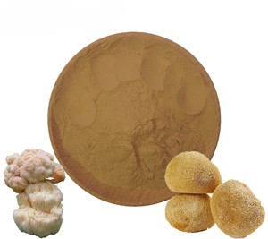 Extrait de champignon Crinière de lion 100 % pur, 10:1, en poudre, de haute qualité, pour le soutien de la santé cérébrale – Meilleure vente - Product Image 4