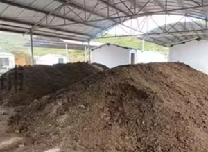 HIGH MICRONUTRIENTS CONTENT COW DUNG Vermicompost <b>POWDER</b> NPK Fertilizer soil for Europe - Product Image 6