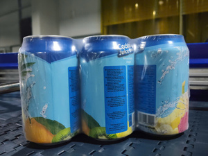 Jus de fruits Tan Do de marque FACTORY BRAND, disponible en canettes aluminium de 330 ml, prix EXW, produit à circulation rapide. - Product Image 4