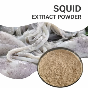 Poudre de Calamar Riche en Protéines 54% Saveur Naturelle de Fruits de Mer pour Nouilles Instantanées et Industrie Alimentaire ANGLE - Product Image 2