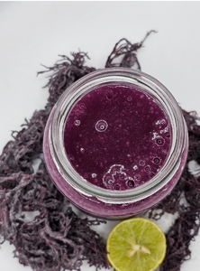 Musgo Marino Morado Orgánico – Superalimento Marino de Vietnam - Product Image 4