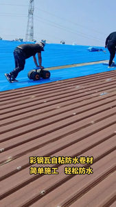 Rollo de membrana impermeabilizante de PE asequible para techos de estructura de acero en EE. UU. - Product Image 5