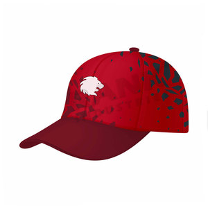 Gorras Deportivas de Nuevo Diseño, Gorras Deportivas con Logotipo Personalizado, Gorras Deportivas Ligeras a Bajo Precio para Venta en Línea - Product Image 1