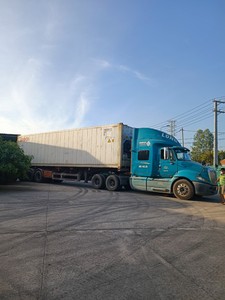Mango Deshidratado Suave Ecológico, Sin Azúcar Añadido, Snack de Fruta Premium, Exportación a Granel, MÁS VENDIDO - Product Image 5